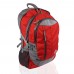 Рюкзак с отделением для ноутбука Onepolar W1383-red