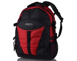 Рюкзак для ноутбука Onepolar W939-red