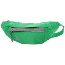 Женская поясная сумка ONEPOLAR W5661-green